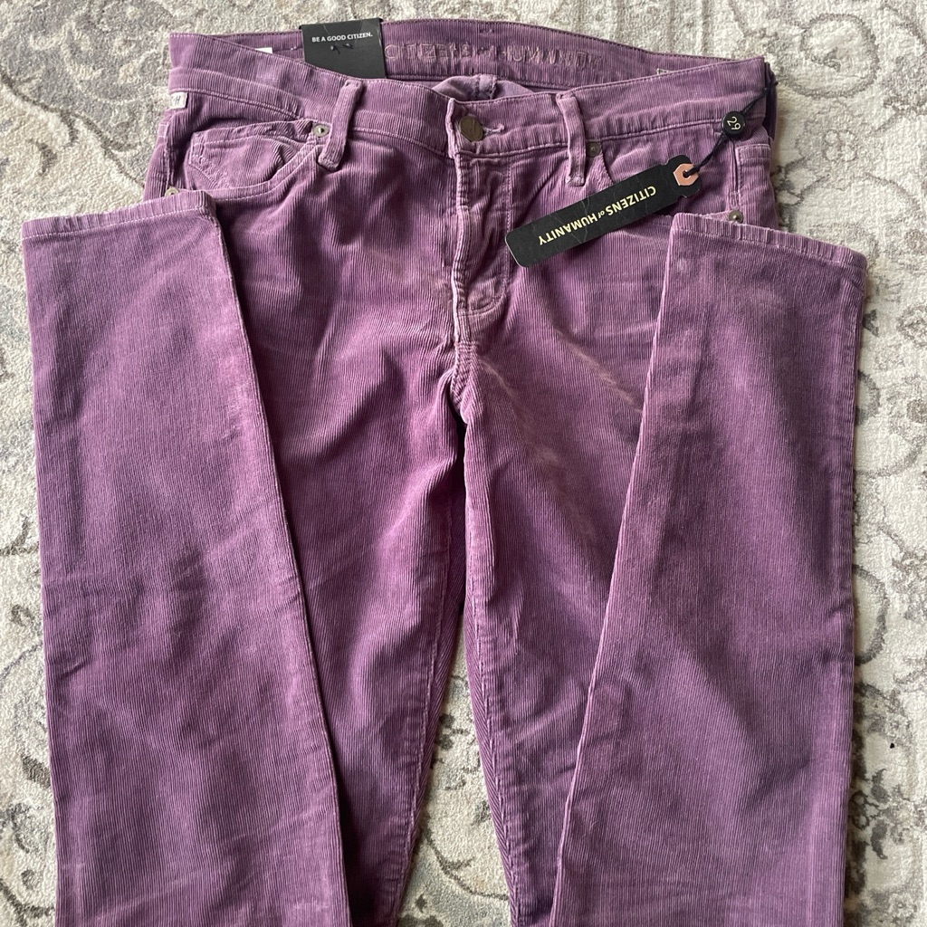 Citizens Of Humanity Avedon Low Rise Skinny Leg Iris Velvet Jeans Size 29